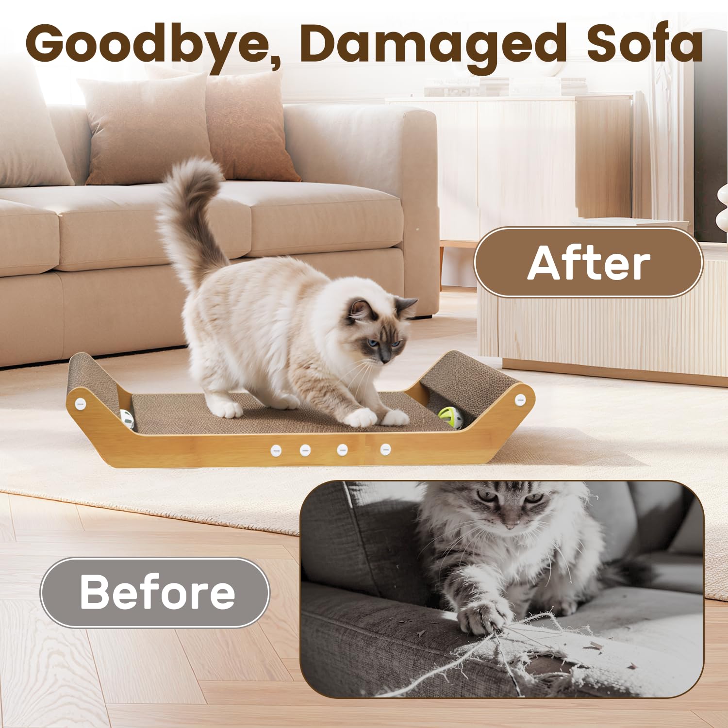 PurrSonic comparaison de taille montrant capacité pour grands chats