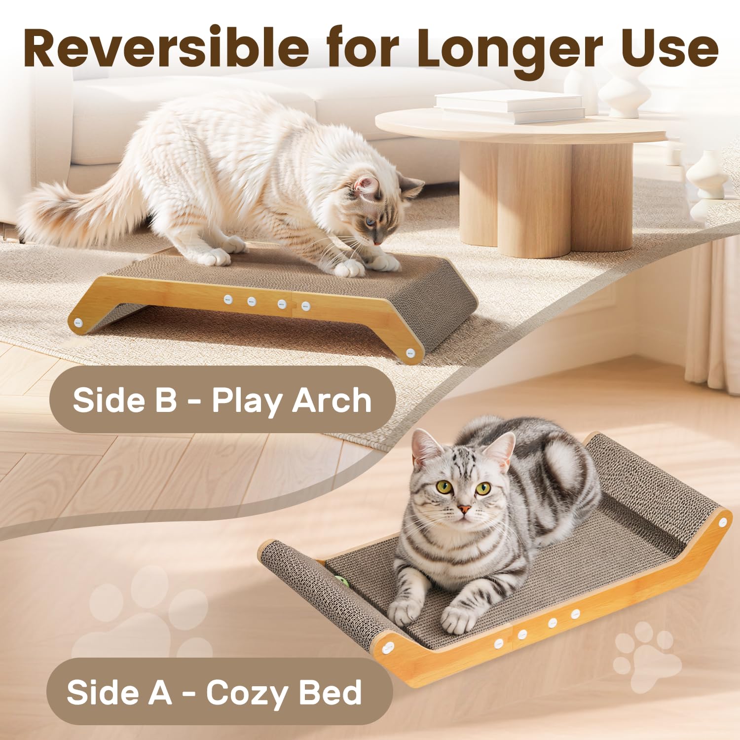 PurrSonic piste à billes en gros plan stimulant jeu autonome