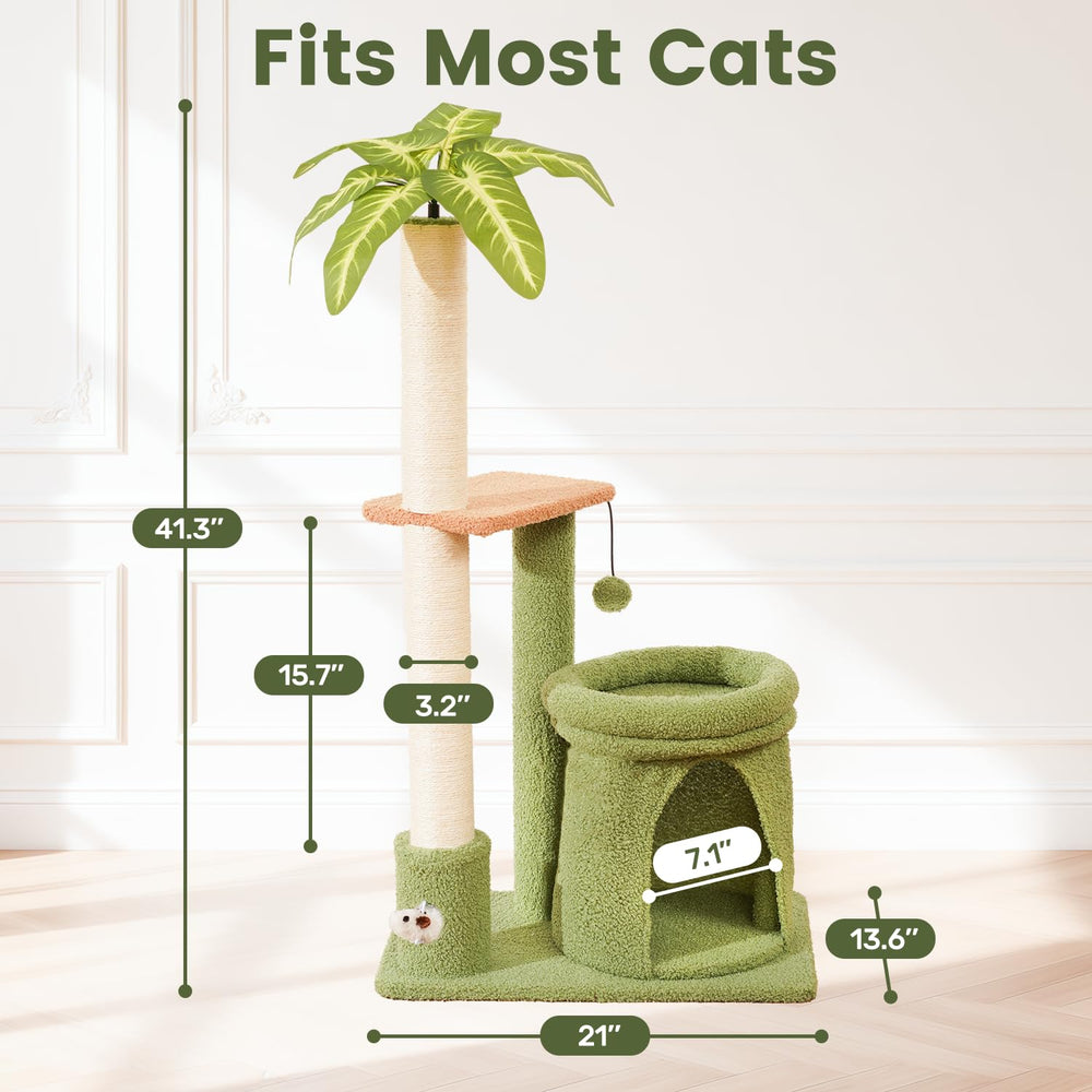 PurrSonic plateforme basse montrant accessibilité pour chatons