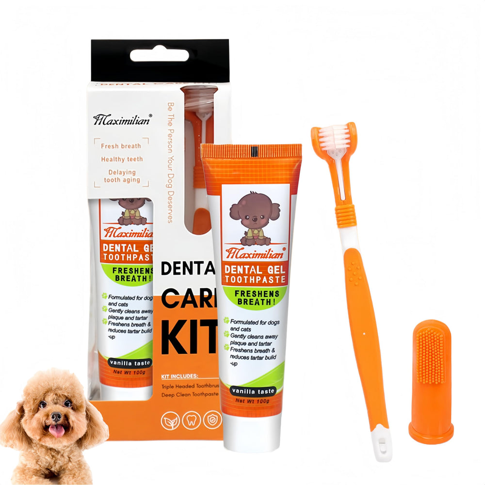 put girl kit ensemble montrant dentifrice et brosses pour soin quotidien