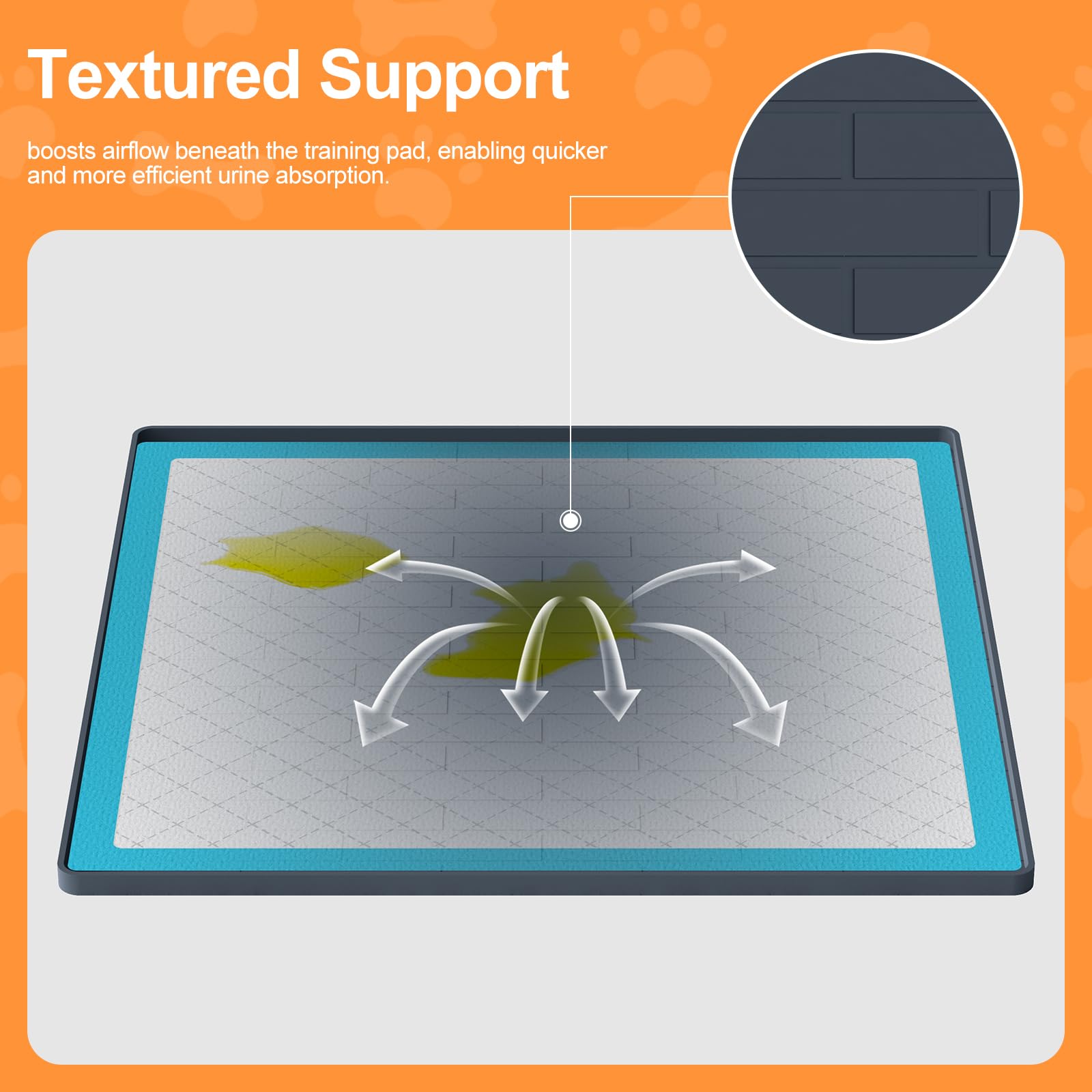 PUWANJILI comparaison taille avec main illustre dimensions pratiques