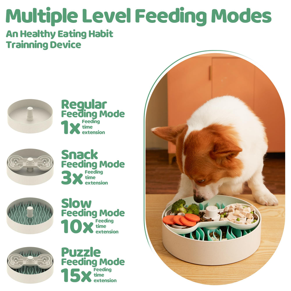 Puzzle Feeder vue de haut avec inserts alternés pour ralentir l'alimentation