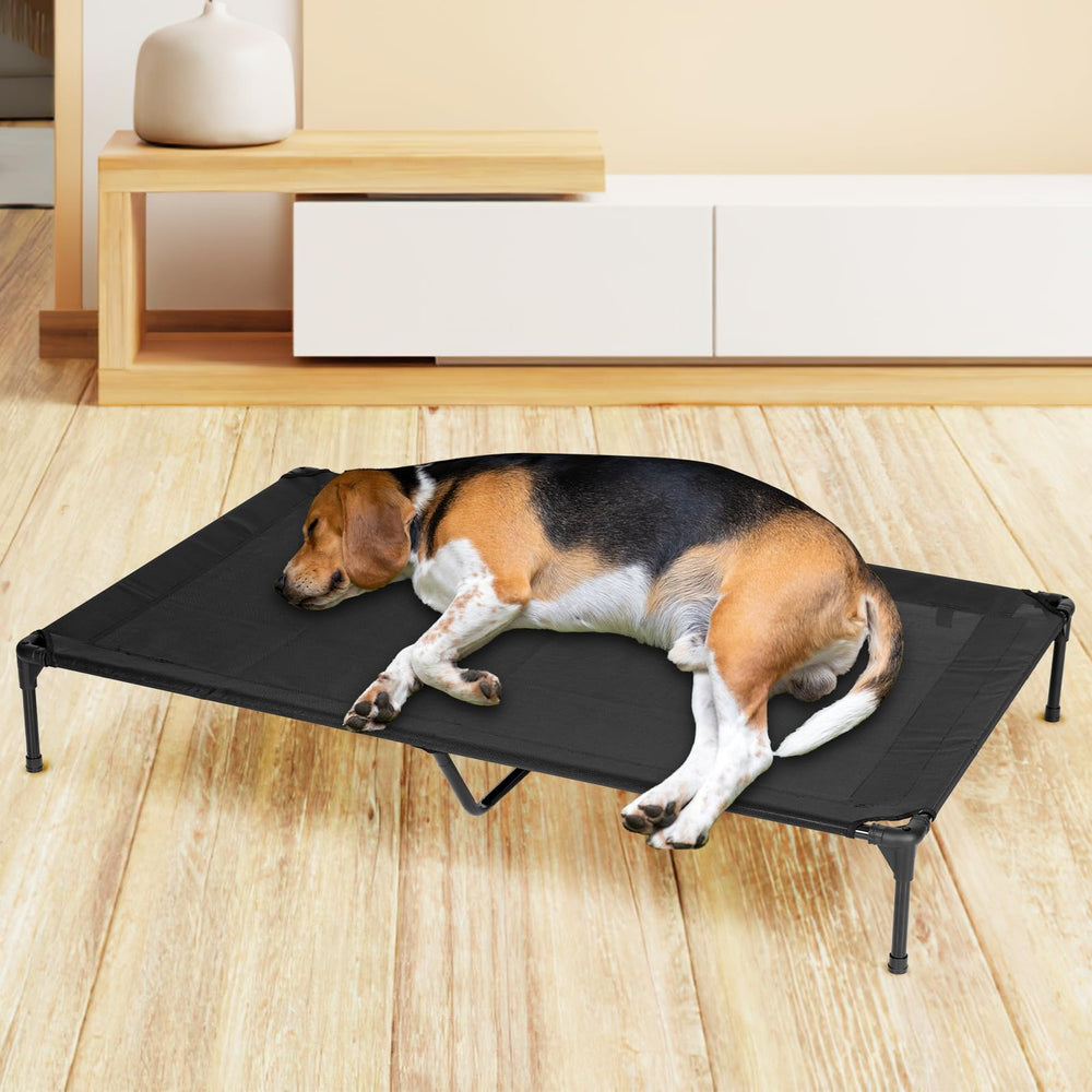 PVY comparaison taille 42x30 montrant capacité pour grand chien