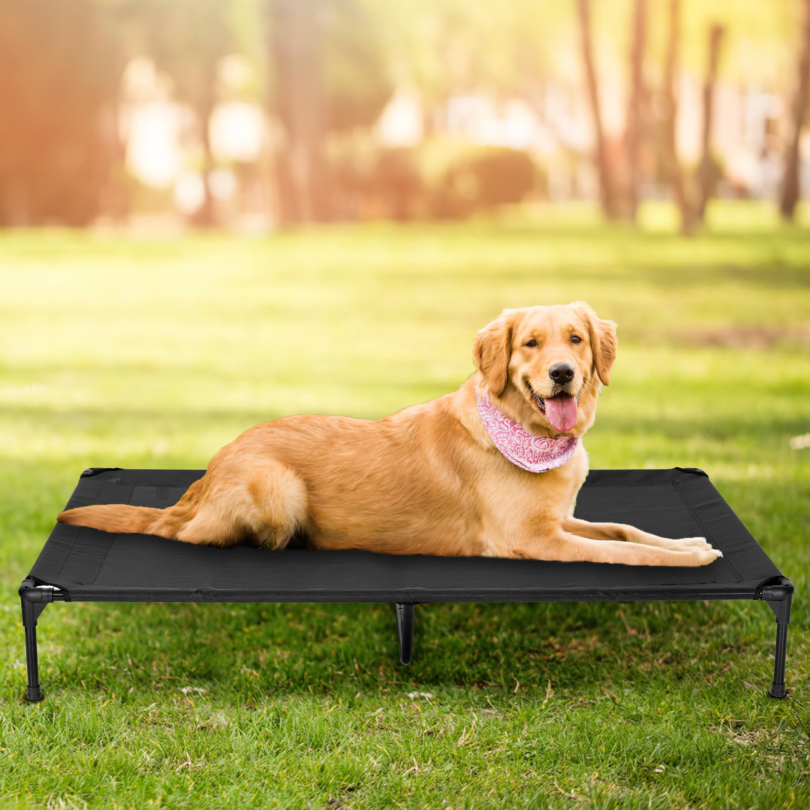 PVY chien reposant sur la terrasse apporte confort et ventilation