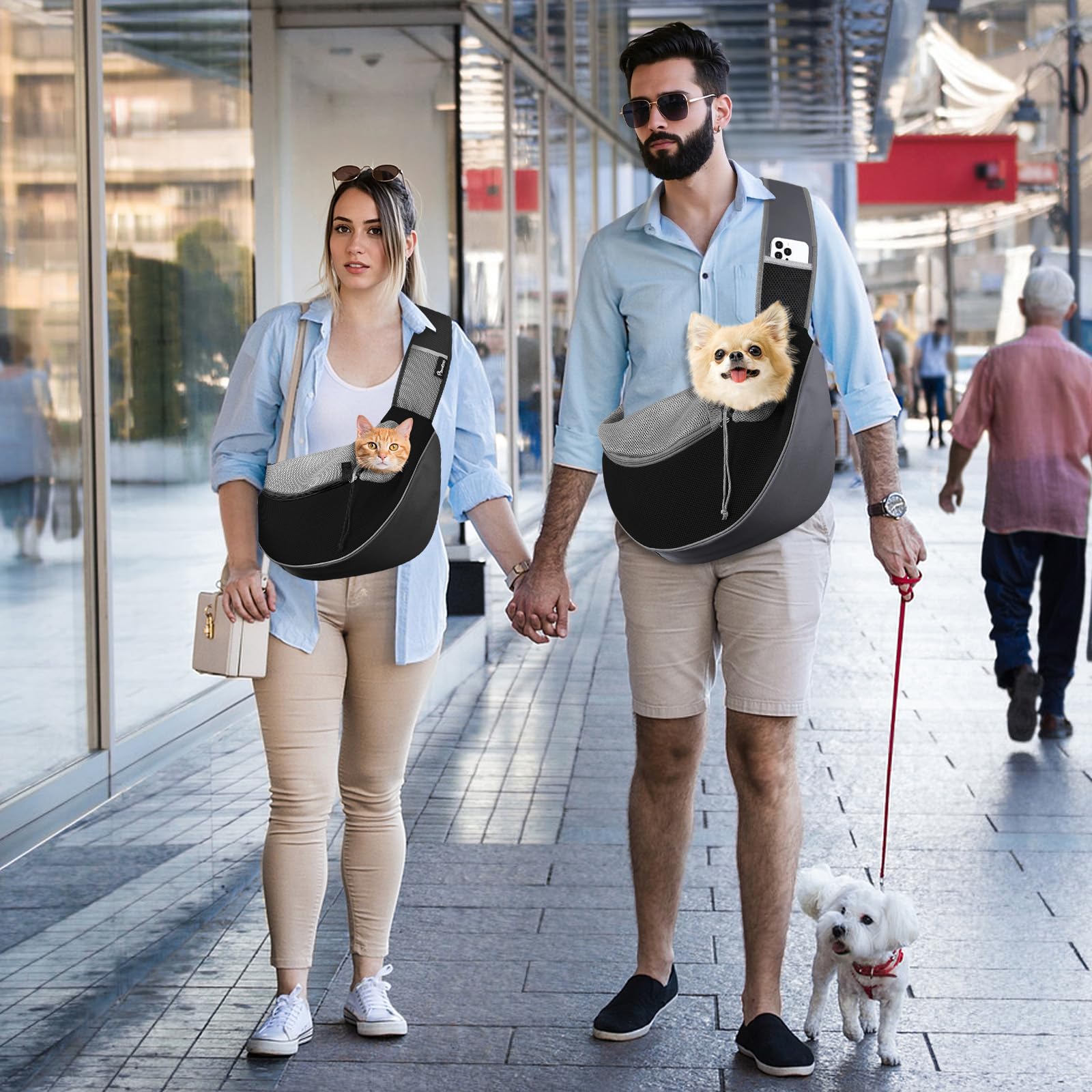 Pawaboo comparaison taille animal montrant ajustement pour choisir taille