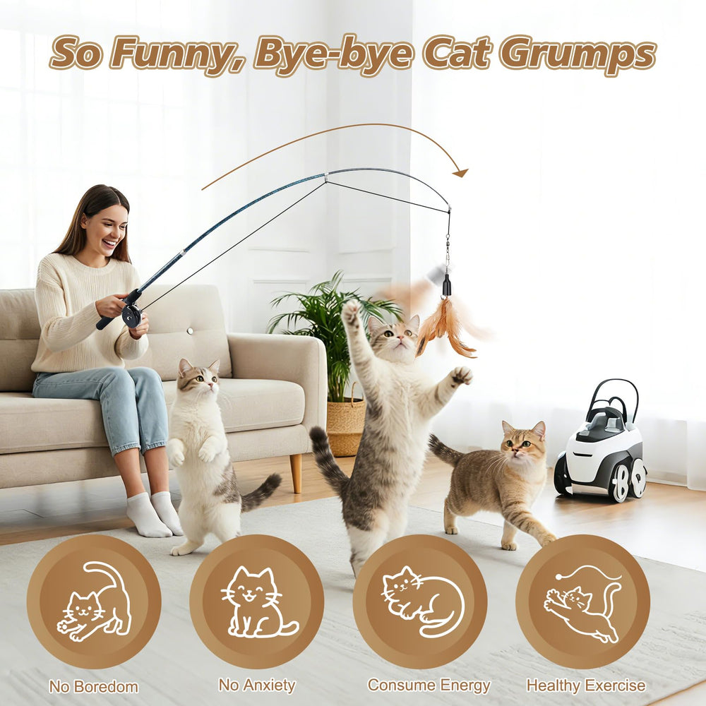 Pawaboo accessoire plume avec grelot attirant l'attention et favorisant la précision des pattes