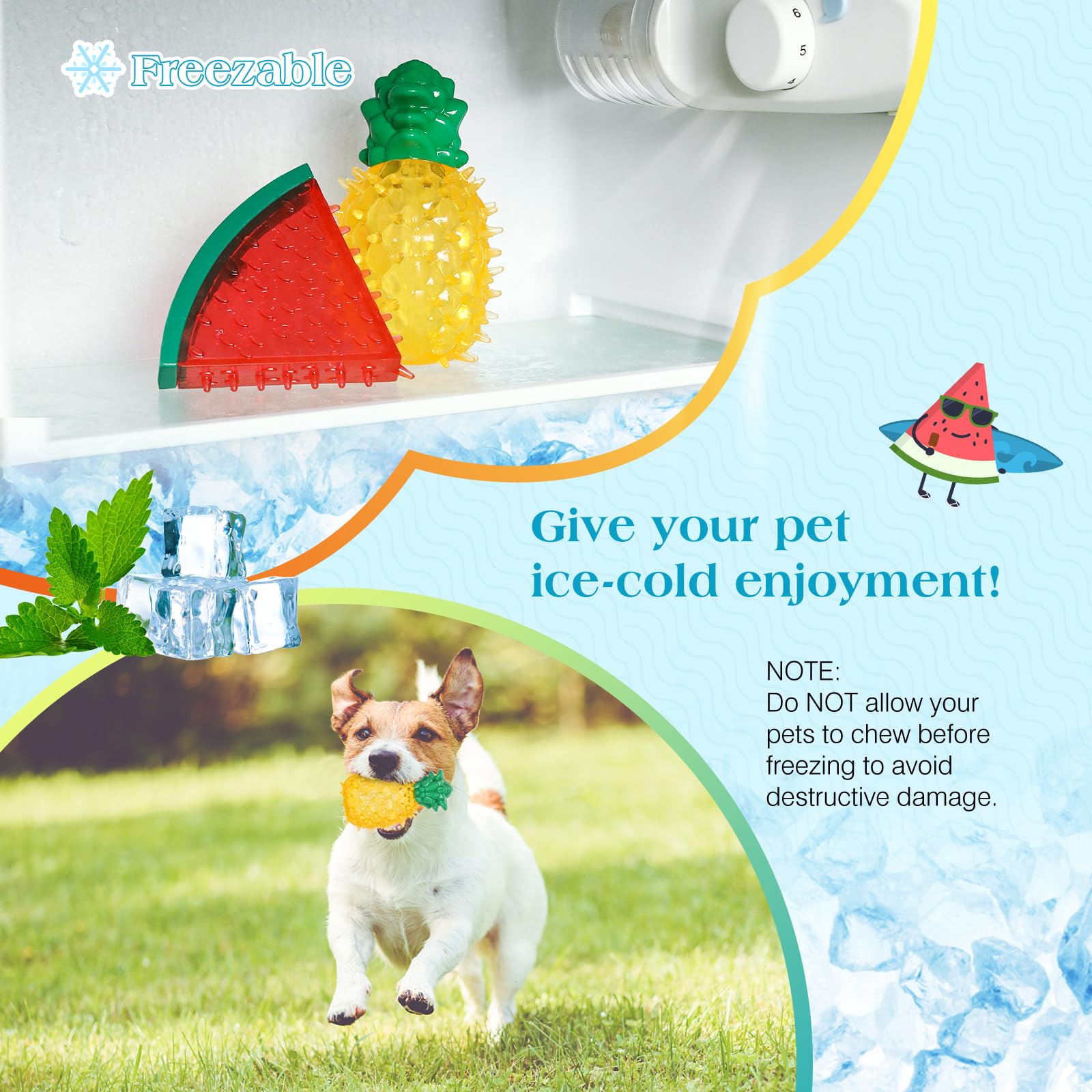 Pawaboo gros plan texture nettoie dents et masse gencives
