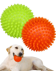 Pweituoet balle avant packaging montrant design et couleur, attire le chien