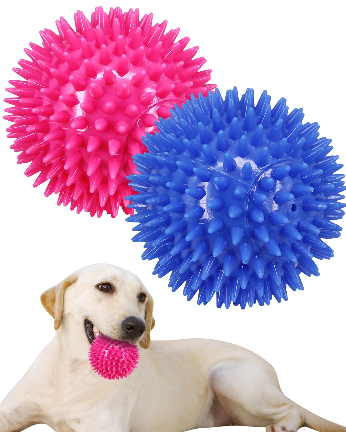 Pweituoet balle face avant montrant robustesse et couleurs vives pour attirer