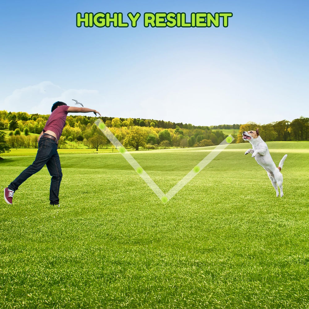 Pweituoet balle en action lors d'un lancer au parc, encourage exercice