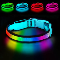 PWOD collier LED face avant montrant visibilité accrue