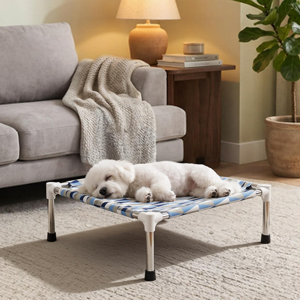Pyowmgd comparaison taille pour petit chien visualiser l'échelle