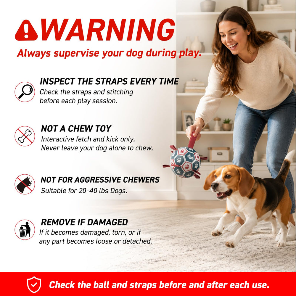QDAN design avec empreintes de pattes stimulant l'intérêt du chien