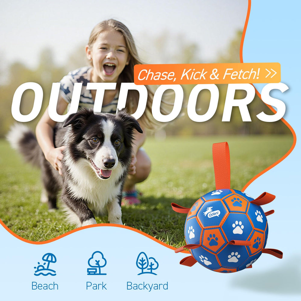 QDAN chien tire à la corde aidant à canaliser énergie et motivation