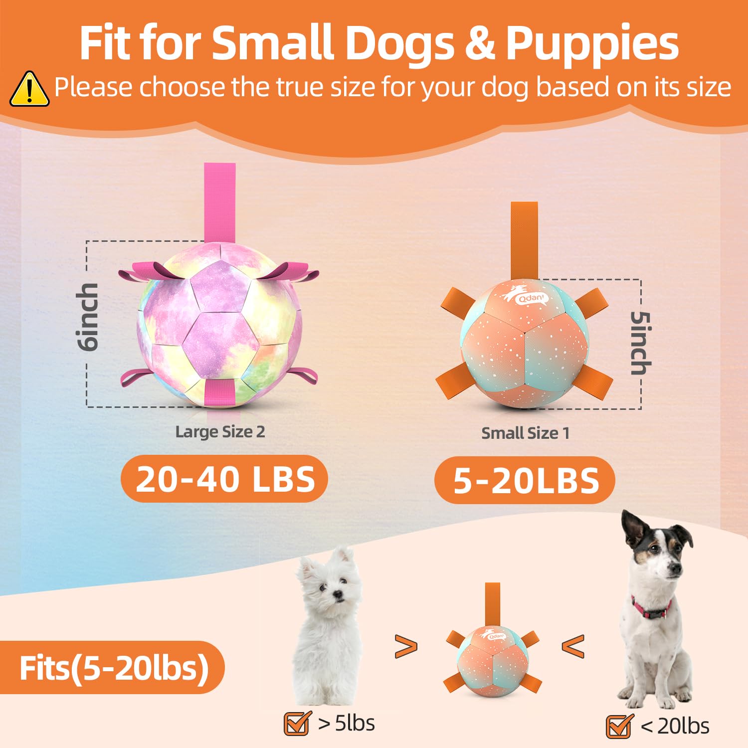 QDAN ballon comparaison d'échelle montrant taille 5 pouces adaptée aux chiots