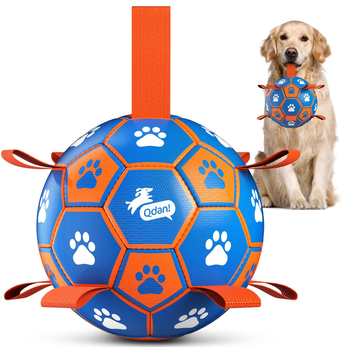 QDAN ballon face avant montrant design et poignées pour jeu interactif