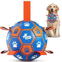 QDAN ballon face avant montrant design et poignées pour jeu interactif
