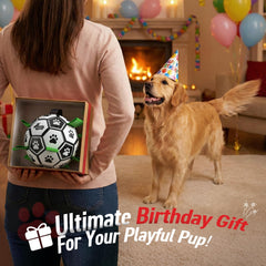 QDAN texture du PU résistant offrant durabilité et confort de jeu au chien