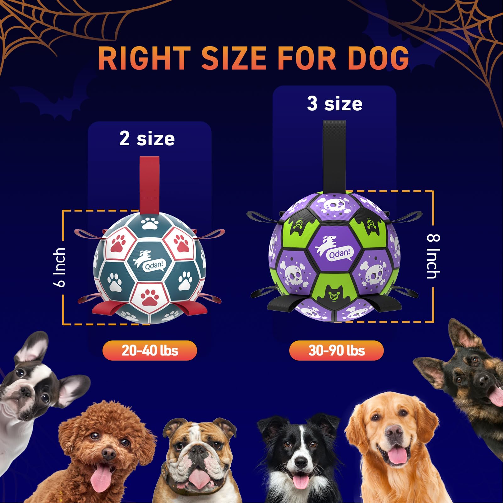 QDAN comparaison taille montre diamètre 8 pouces pour chiens moyens