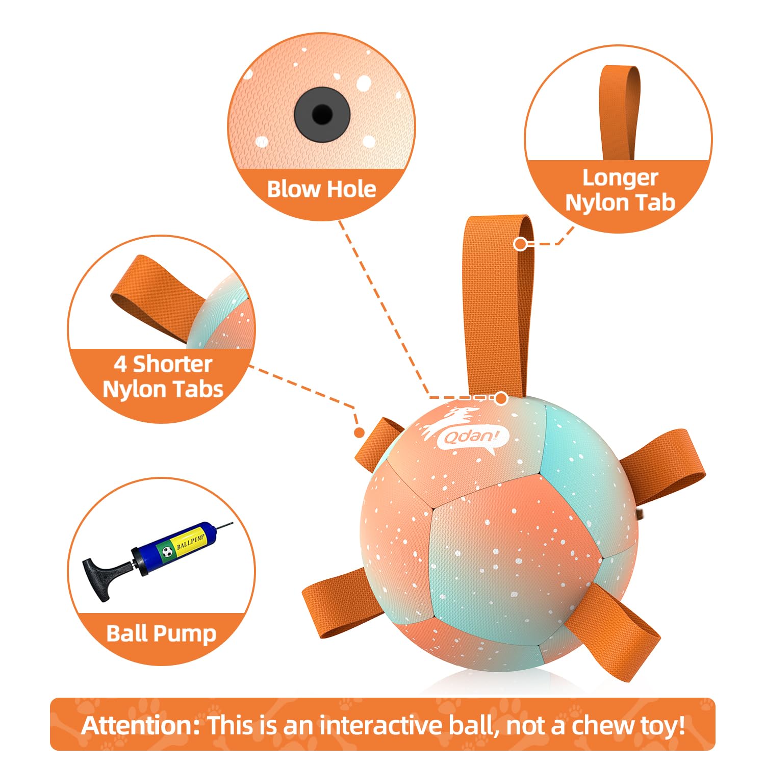 QDAN ballon en scène lifestyle illustrant jeu extérieur et interaction maître-chien