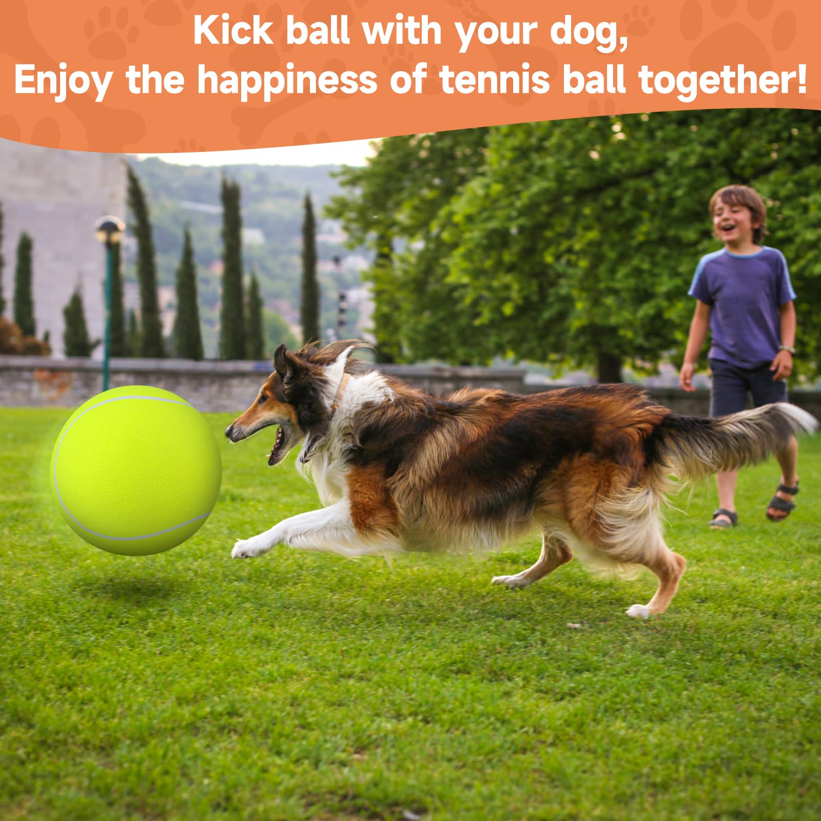 QDAN comparaison taille avec une main, montre diamètre adapté grandes races