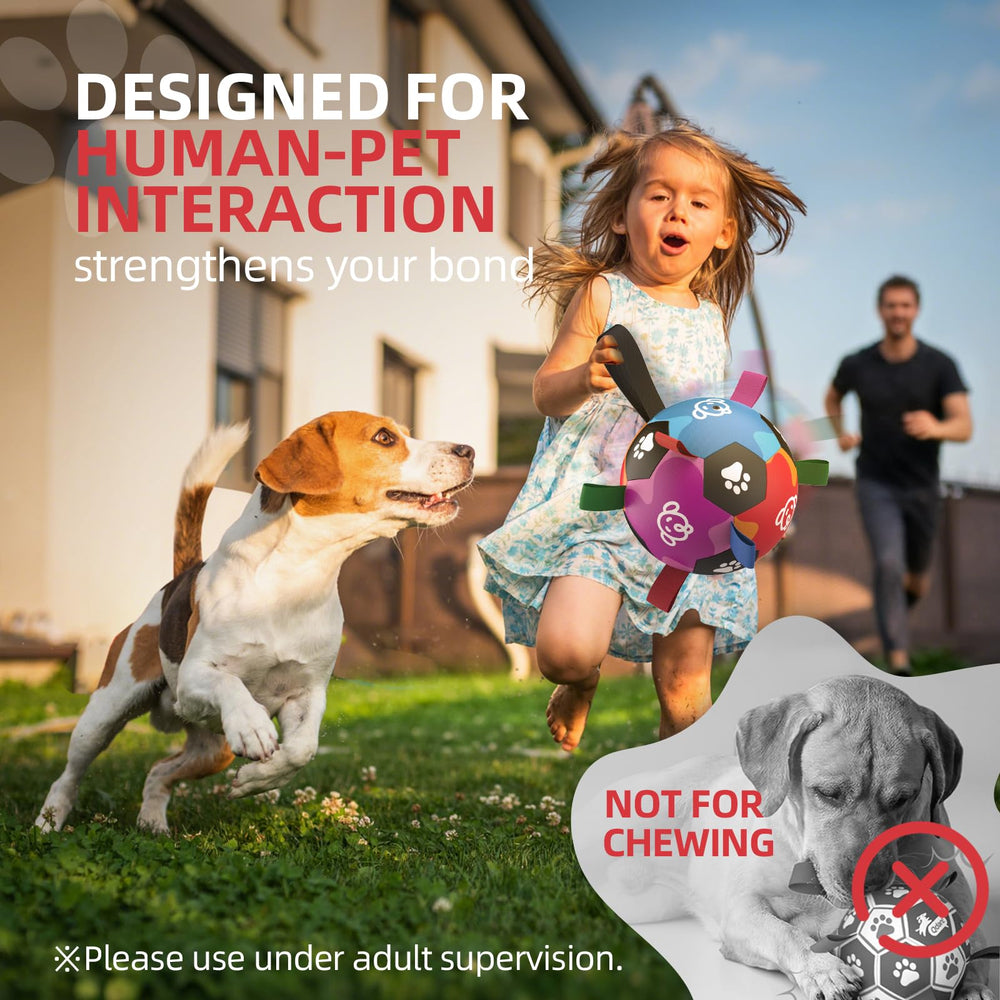 QDAN comparaison taille montrant adaptée aux grands chiens