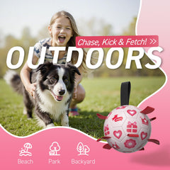 QDAN en usage chien rapport améliorant l'activité physique