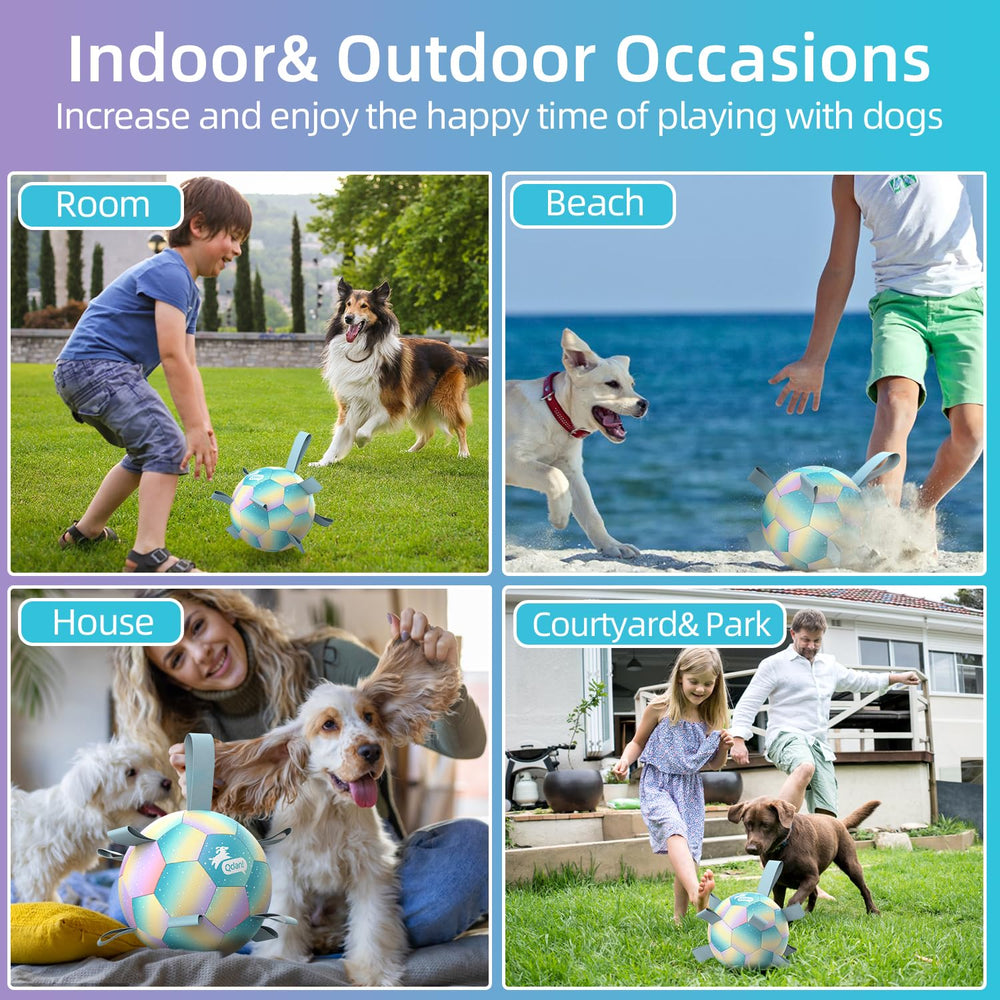 QDAN balle utilisée en extérieur avec chien actif pour exercice et rappel
