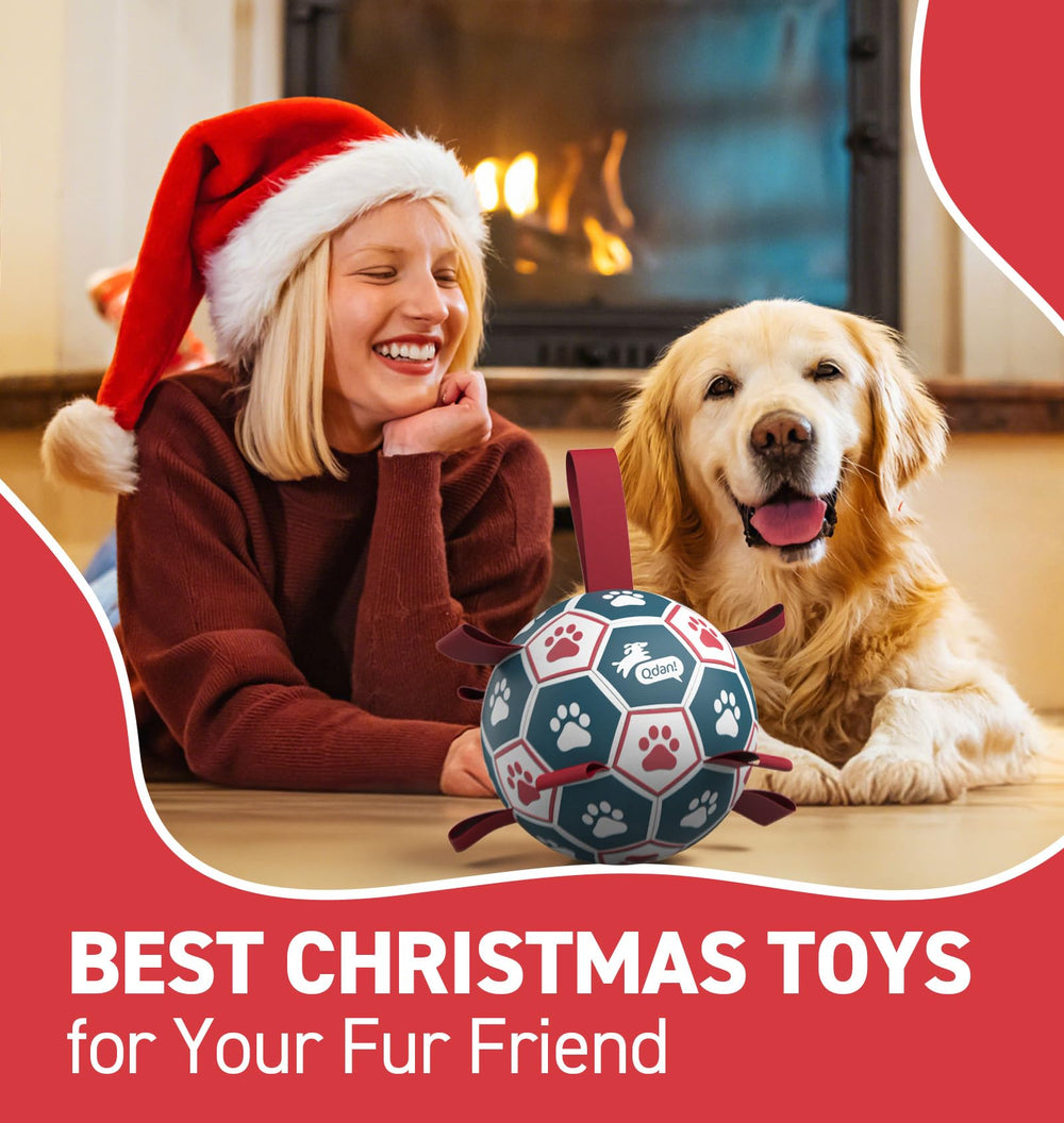 QDAN main tenant la longe montrant facilité de lancer pour le propriétaire