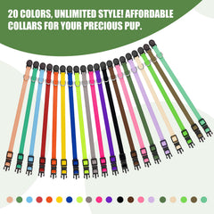 QDYU éventail de 20 couleurs pour repérage facile en élevage