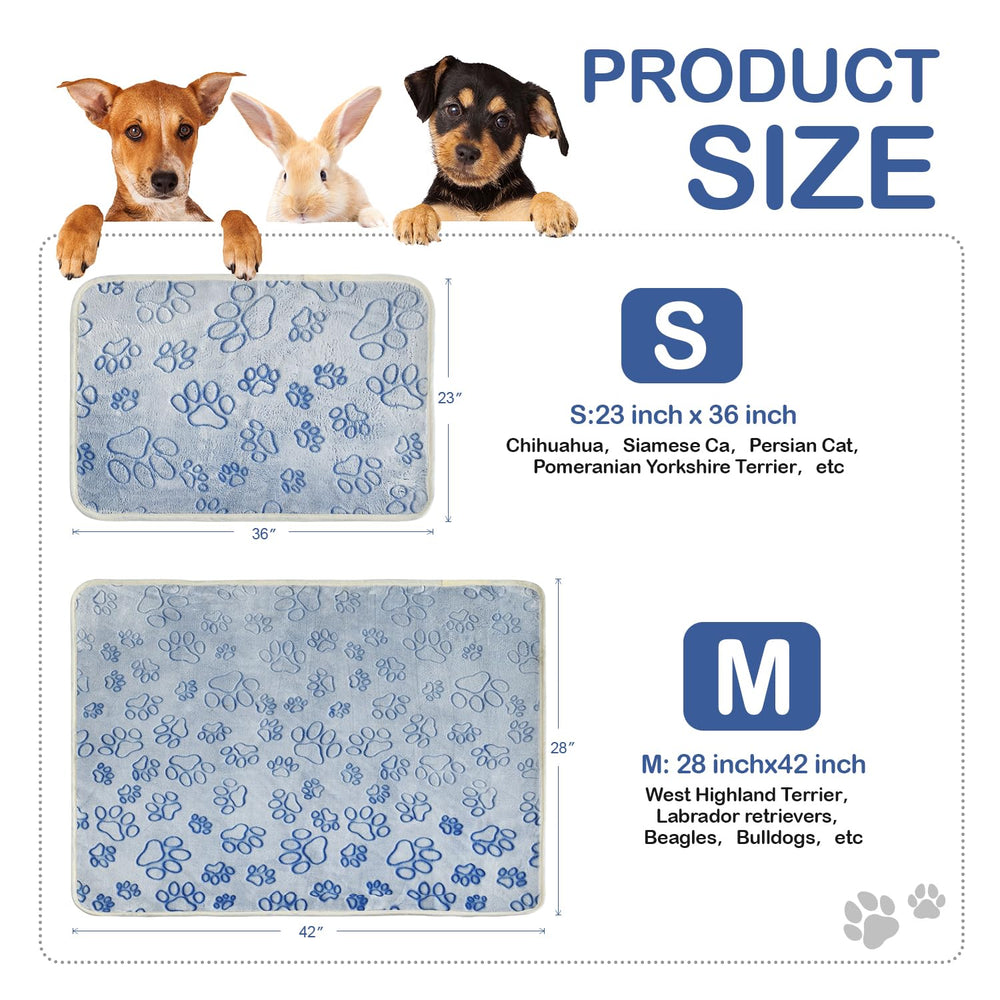 Qeils tapis posé à côté d'un mètre illustrant la taille 28 x 42 pouces