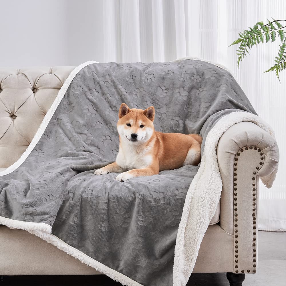 Qeils couverture comparée à petit chien montrant taille adaptée
