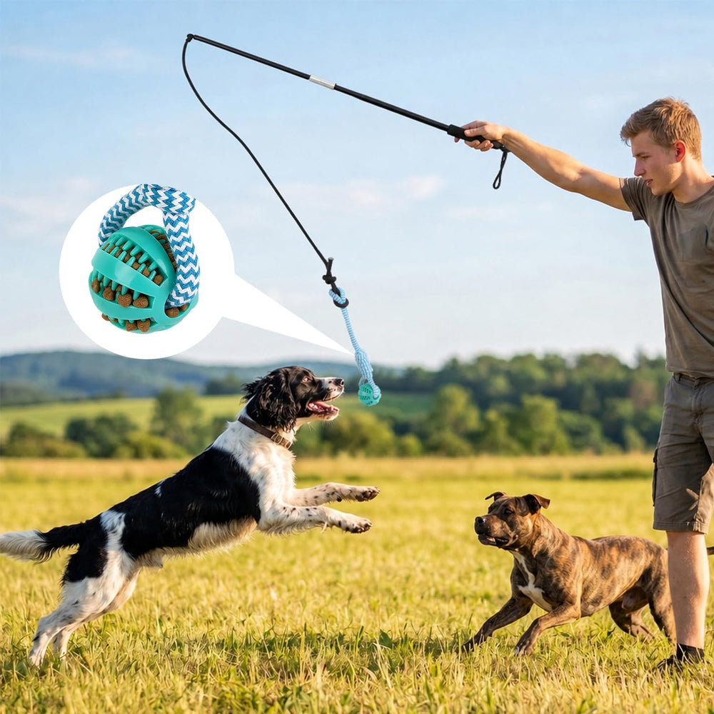 Qeoval chiot mordant os silicone montrant jeu contrôlé et sécurité