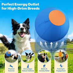 QGRID LABS détail de la coque résistante montrant texture anti‑déchirure