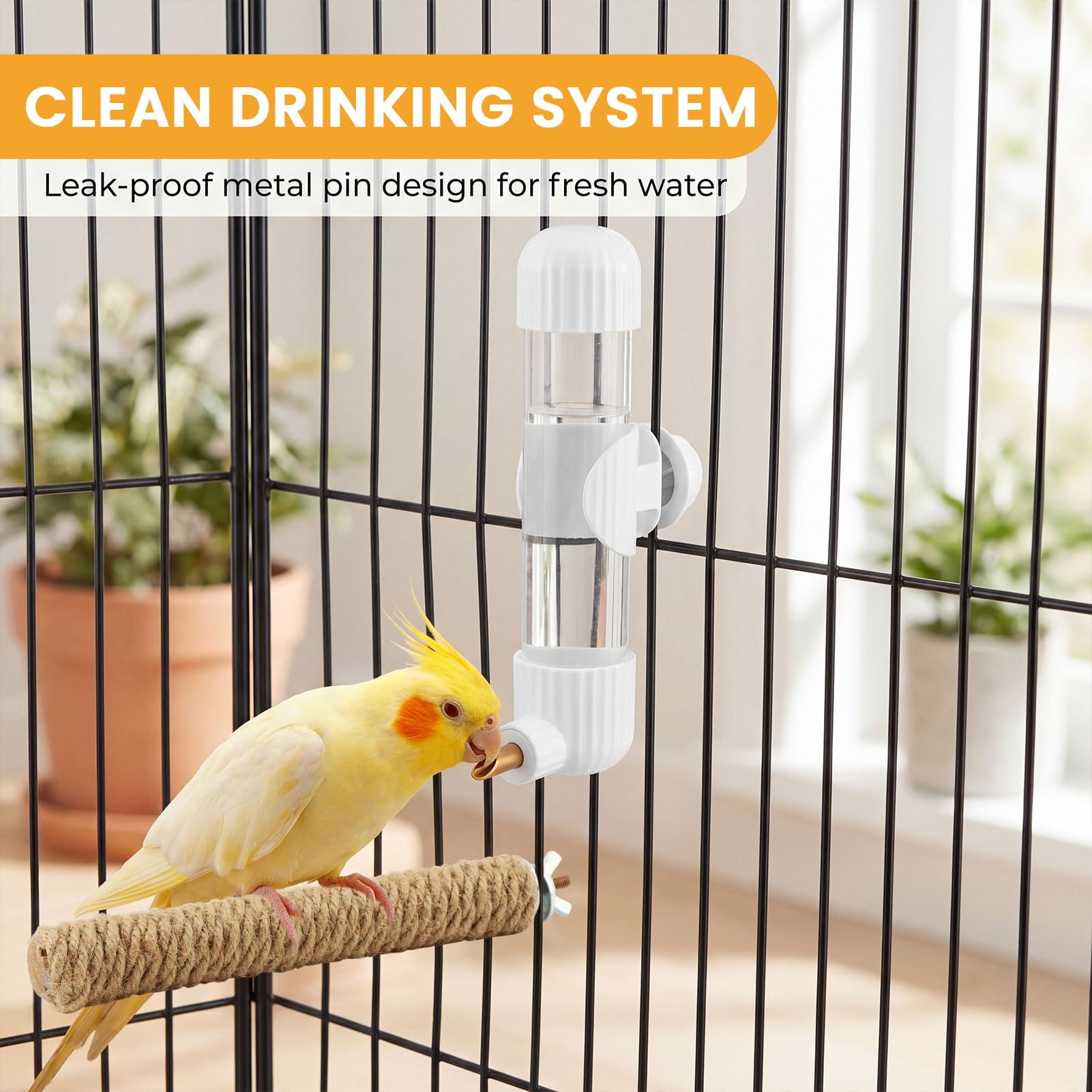 QHANZIROER échelle de taille avec oiseau pour visualiser capacité 280 ml