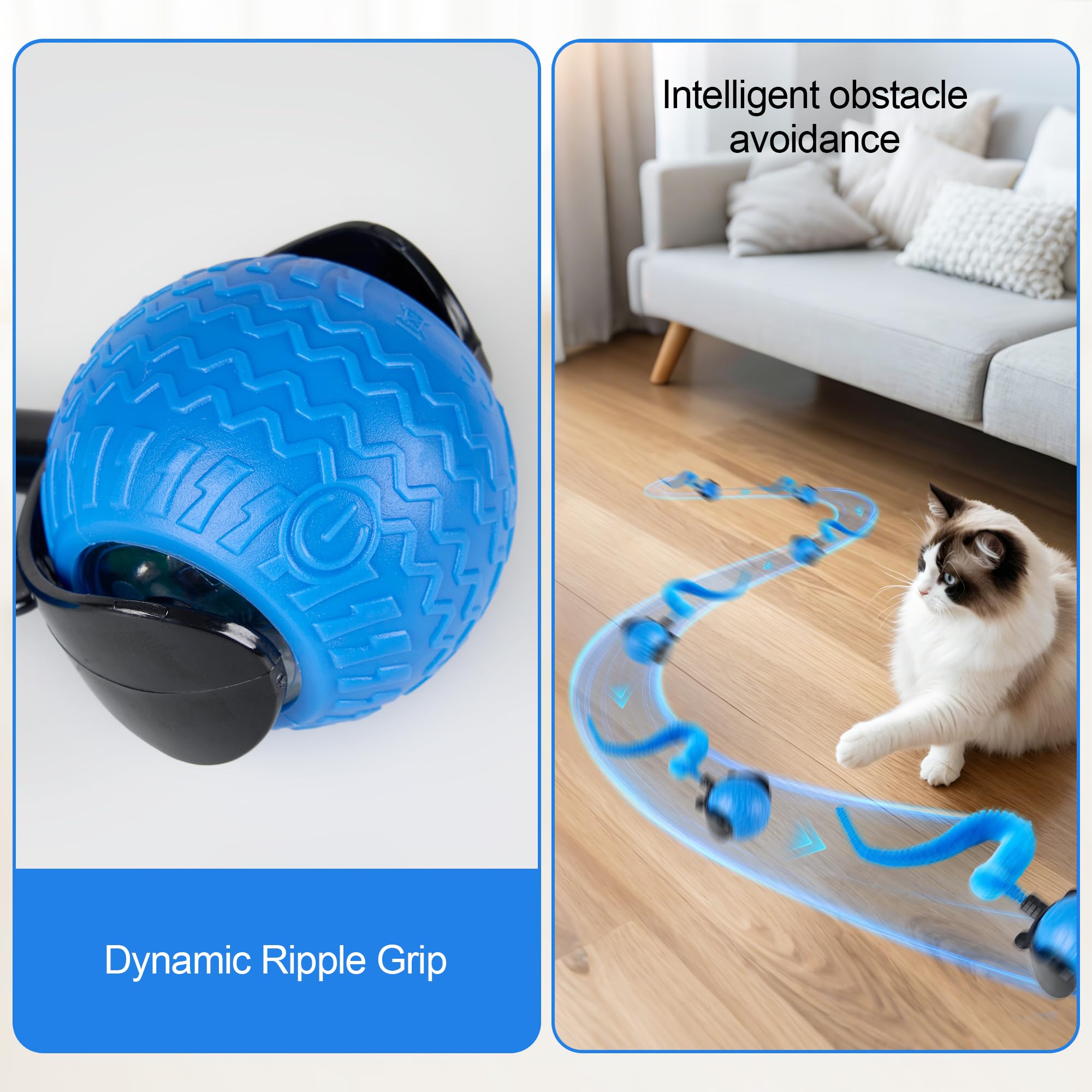 QhingSW comparaison taille à la main illustrant échelle adaptée aux chats