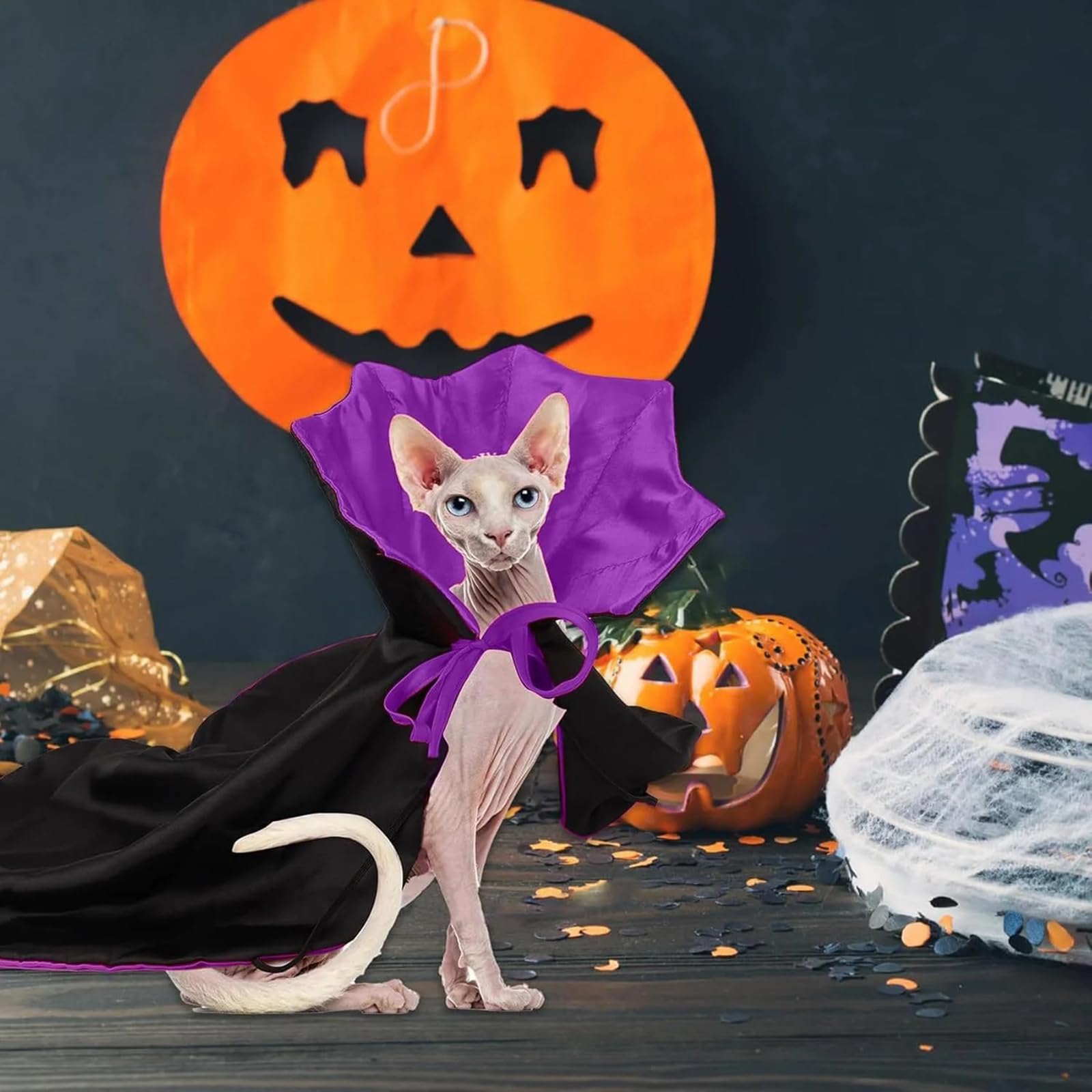 Qiansail noir et violet ambiance décorative idéale pour Halloween