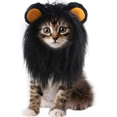 Qiansail bonnet crinière de face, rend votre chat spectaculaire