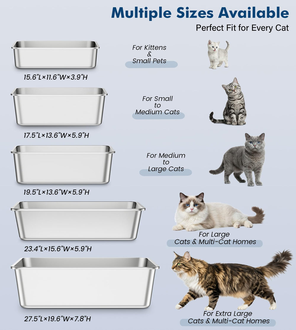 Qiuma comparaison taille avec main illustre dimensions adaptées pour chats