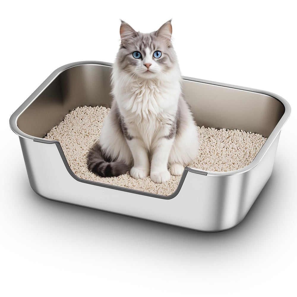 Qiuma vue frontale avec entrée basse facilitant l’accès pour chatons et seniors