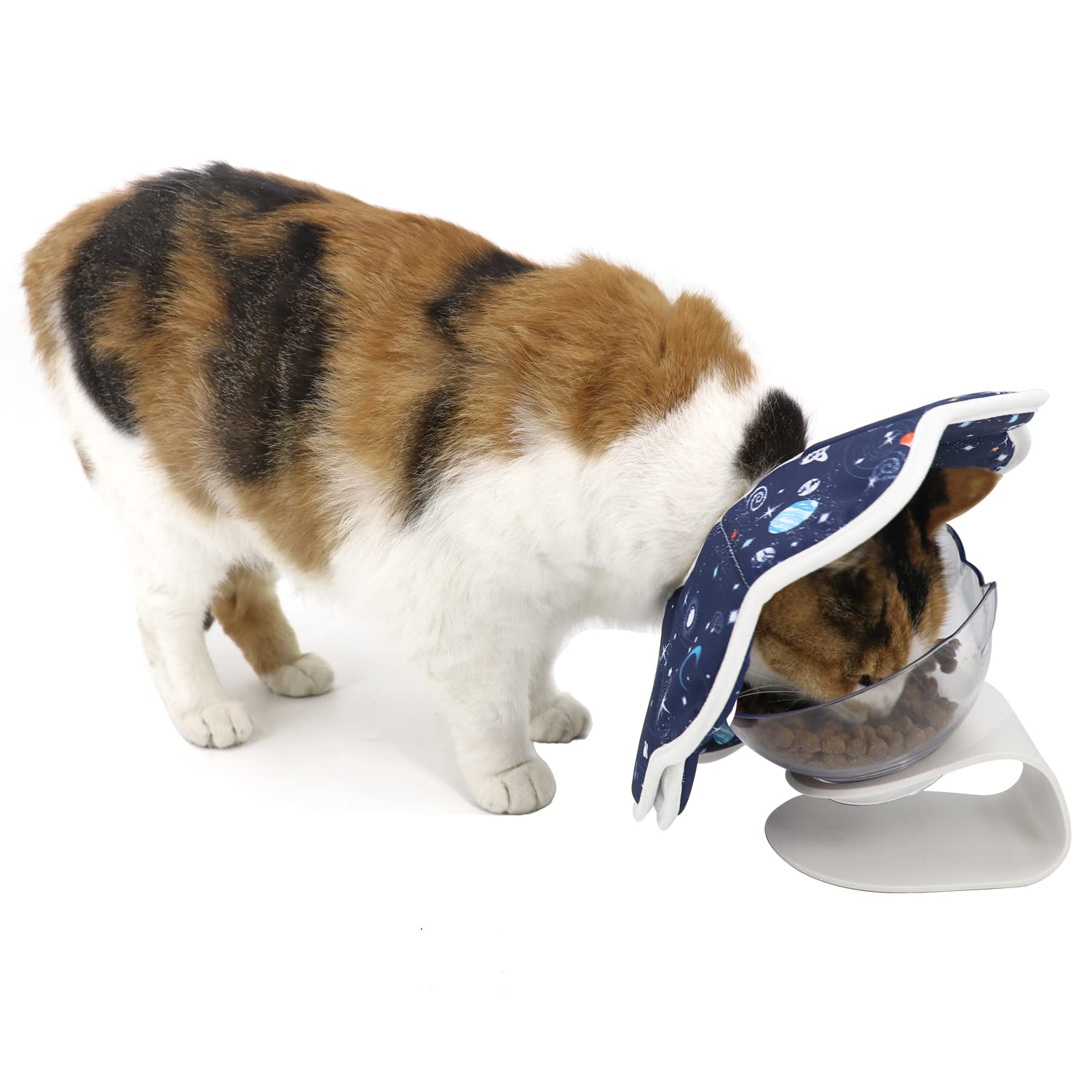 QIYADIN chat portant collerette pour protection post-opératoire