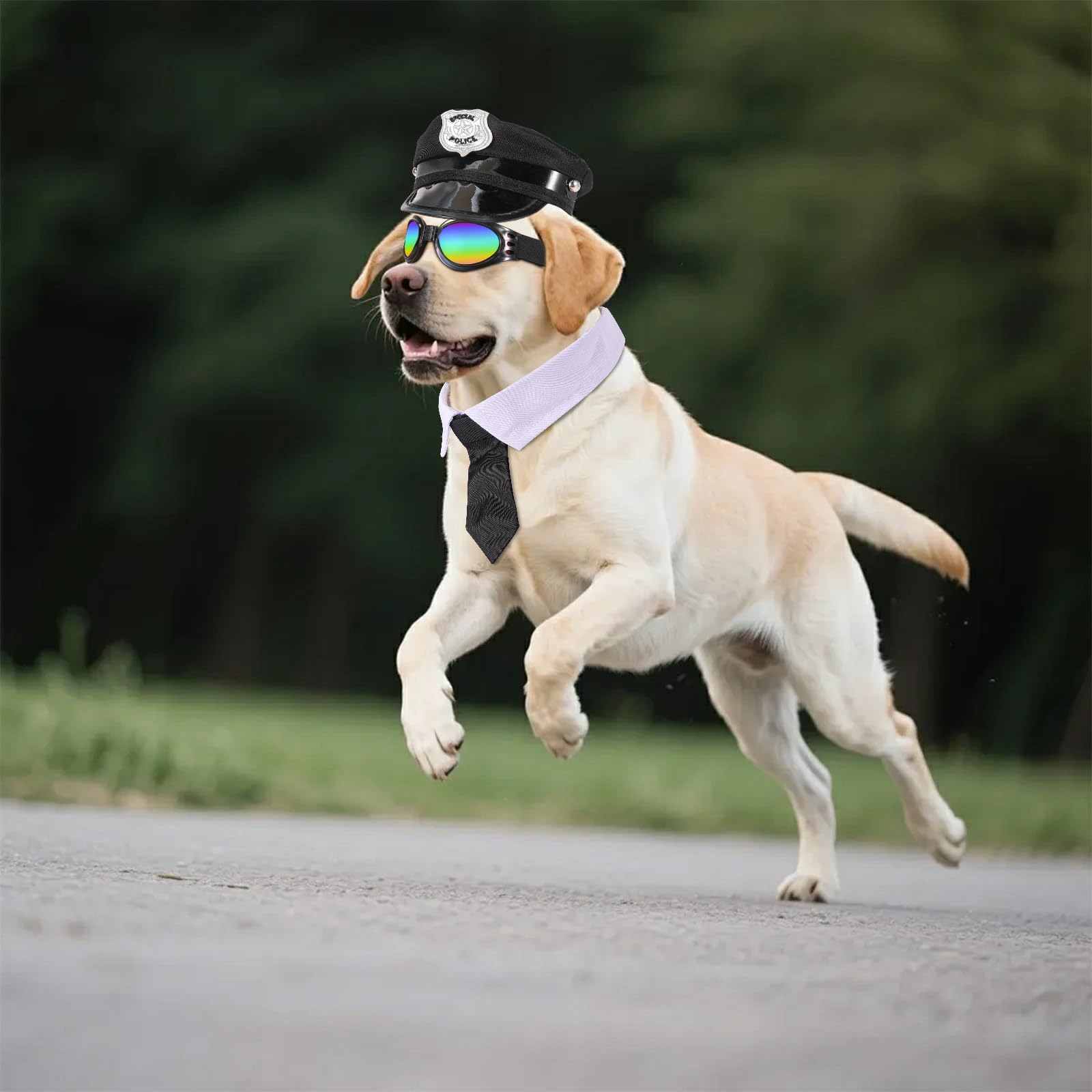 QKURT chien en costume lors d'une promenade festive attrayant