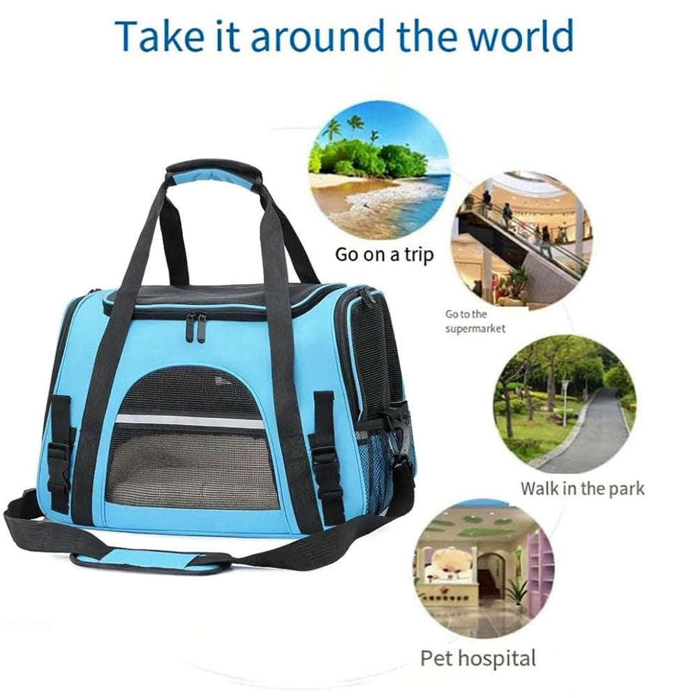 QQLe comparaison taille pour vérifier ajustement de l'animal