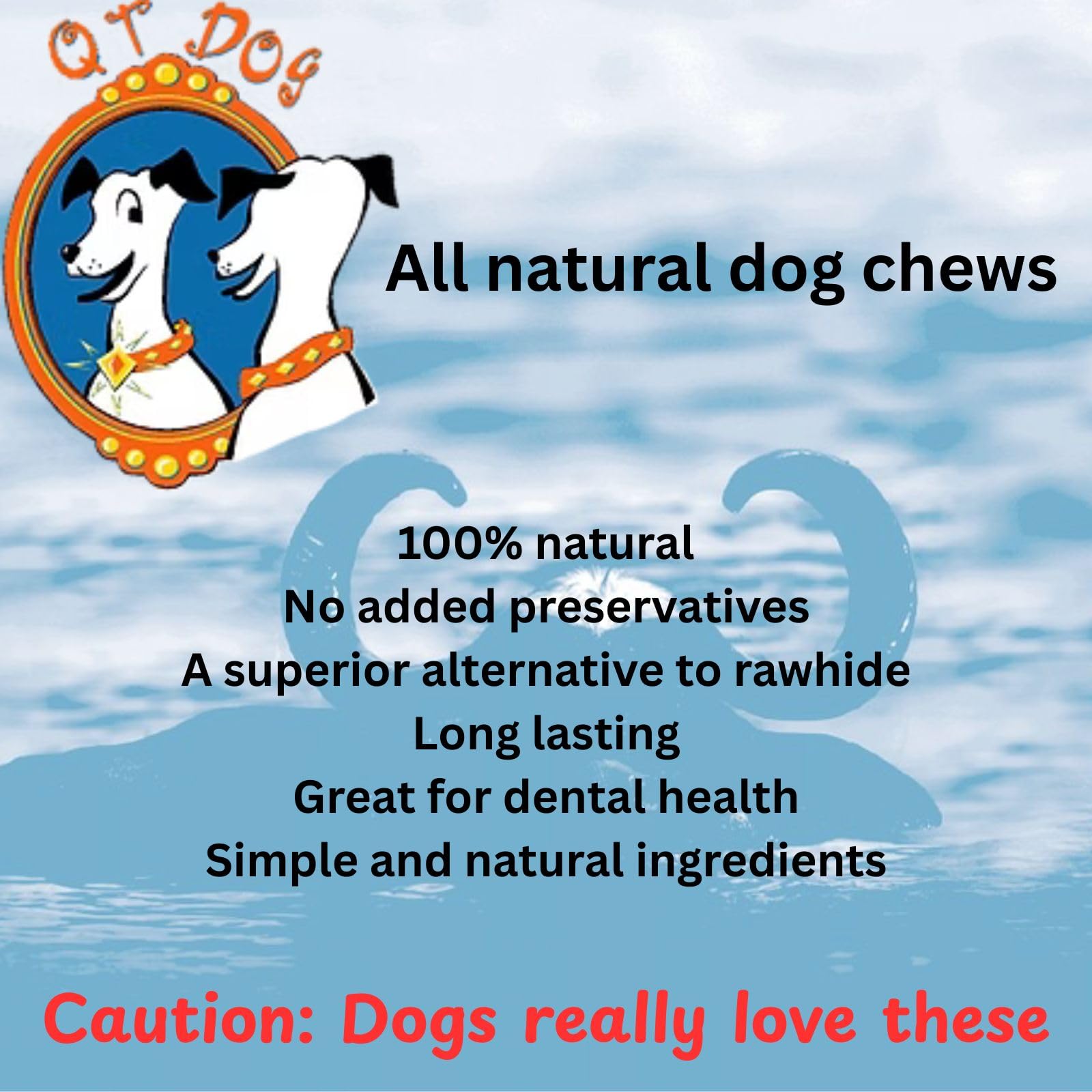 QT Dog corne Gobi comparaison avec main pour échelle, taille adaptée aux petits chiens