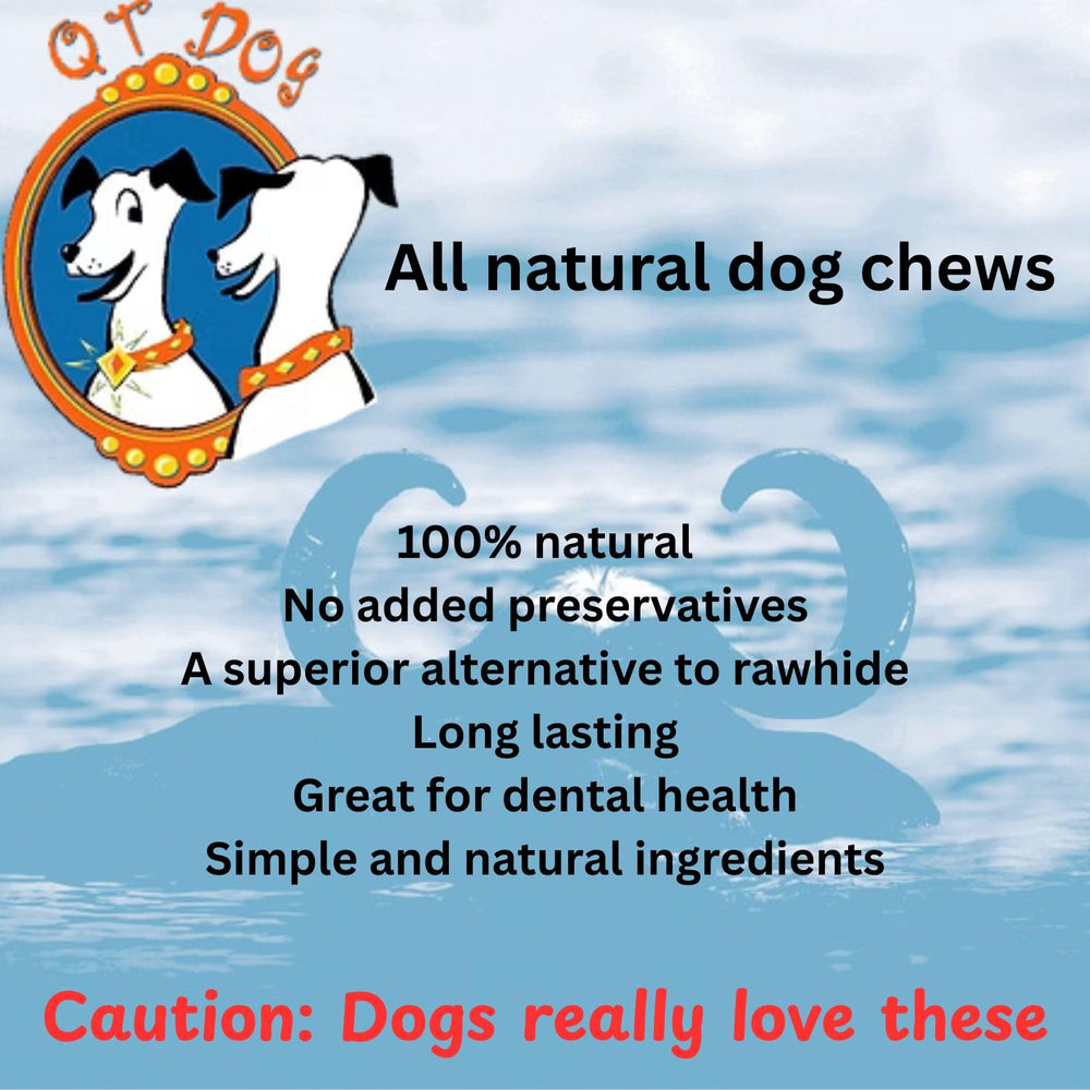 QT Dog corne Gobi comparaison avec main pour échelle, taille adaptée aux petits chiens