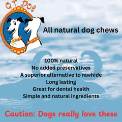 QT Dog corne Gobi comparaison avec main pour échelle, taille adaptée aux petits chiens