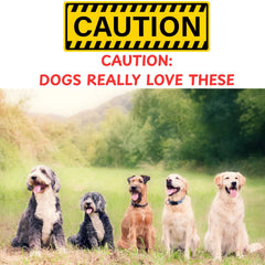 QT Dog corne Gobi chien mâchant la corne, distraction durable et stimulation