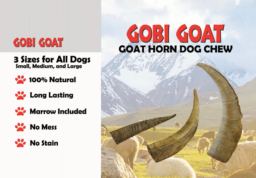 QT Dog corne Gobi gros plan sur texture et moelle, attrait naturel et résistance