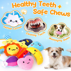 QTwoof chiot jouant avec peluche nuage pour divertissement interactif et activité mentale