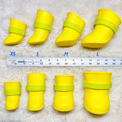 Quality Life Hack comparaison d'une patte avec bottine pour vérifier l'ajustement